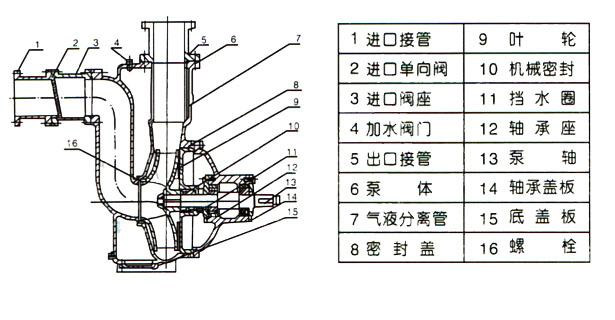 ZW型自吸式无堵塞草莓视频网站在线观看入口（结构图）