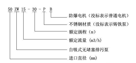 ZW型自吸式无堵塞草莓视频网站在线观看入口型号意义